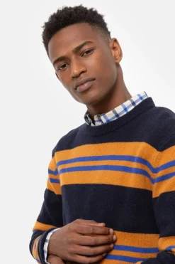 Sale Donker E Herentrui Met Lichtbruine Strepen Heren Sweaters & Cardigans